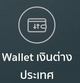 Foreign Currency Wallet